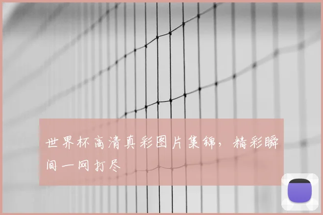 世界杯高清真彩图片集锦,精彩瞬间一网打尽