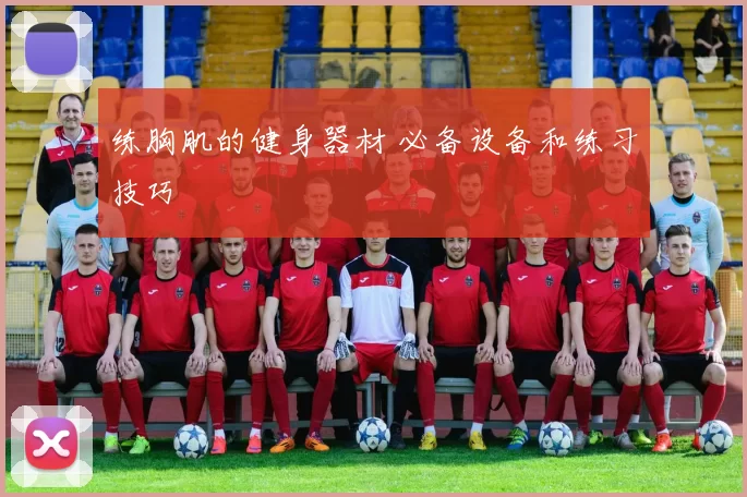 练胸肌的健身器材 必备设备和练习技巧