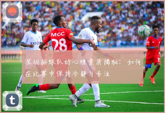 深圳排球队的心理素质揭秘：如何在比赛中保持冷静与专注