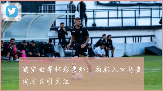 淘宝世界杯彩票哪:购彩入口与查询方式引关注