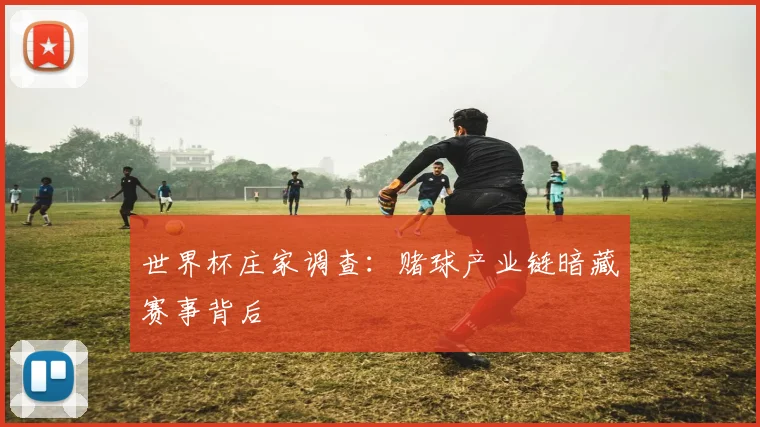 世界杯庄家调查：赌球产业链暗藏赛事背后