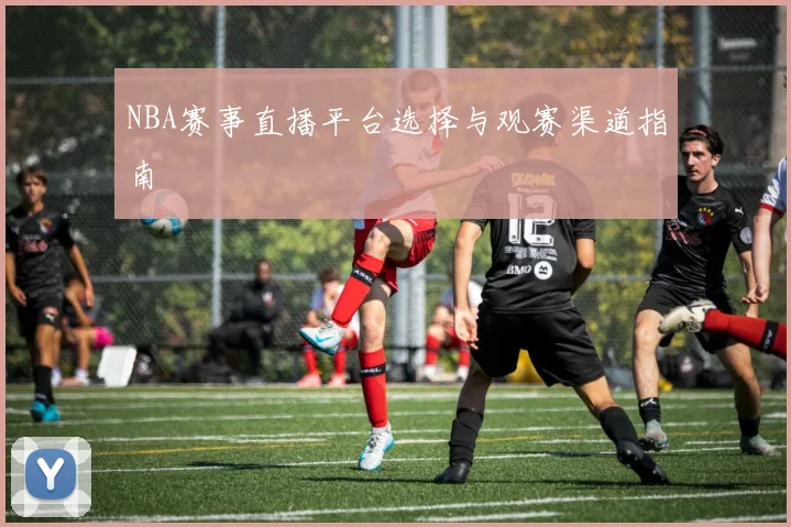 NBA赛事直播平台选择与观赛渠道指南