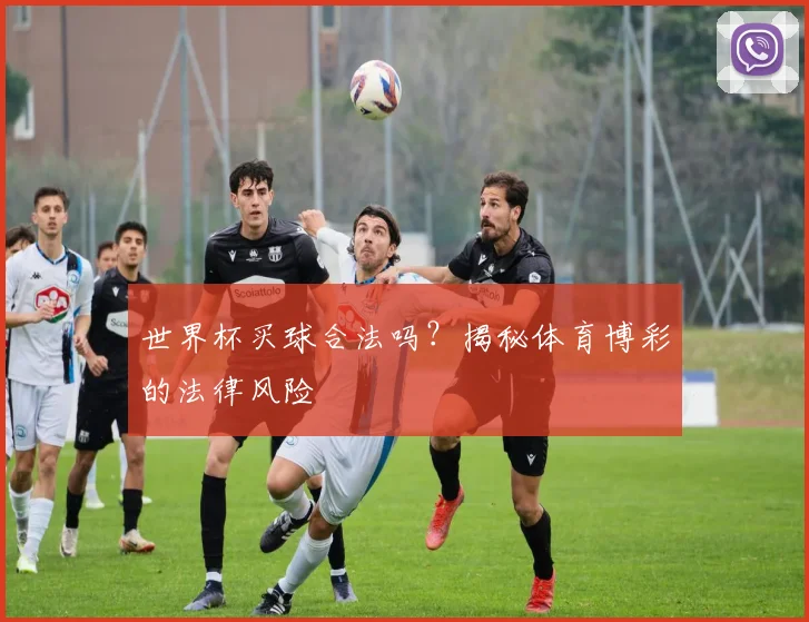 世界杯买球合法吗?揭秘体育博彩的法律风险