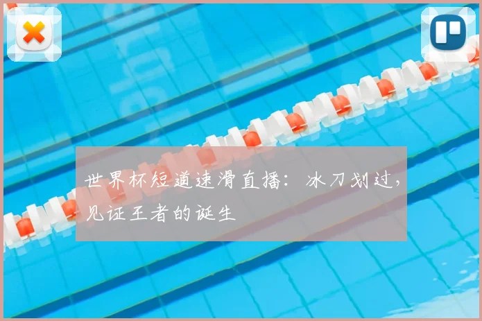 世界杯短道速滑直播:冰刀划过,见证王者的诞生