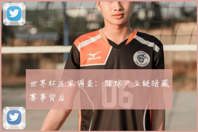 世界杯庄家调查:赌球产业链暗藏赛事背后