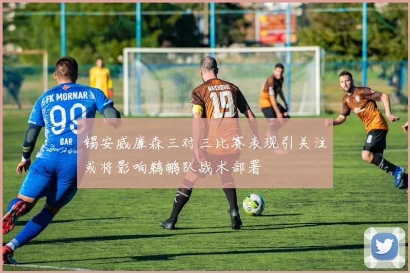 锡安威廉森三对三比赛表现引关注或将影响鹈鹕队战术部署
