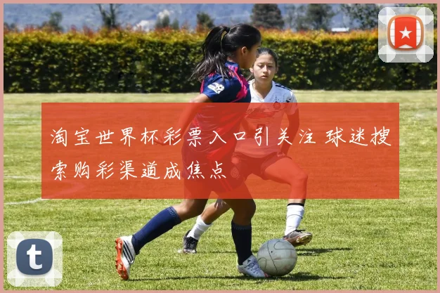 淘宝世界杯彩票入口引关注 球迷搜索购彩渠道成焦点