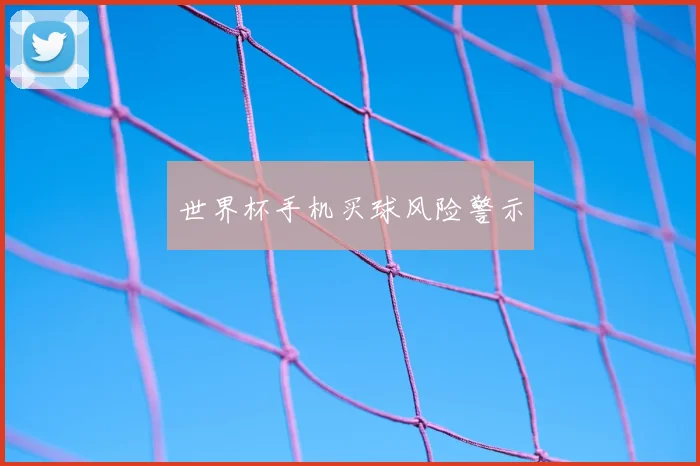 世界杯手机买球风险警示