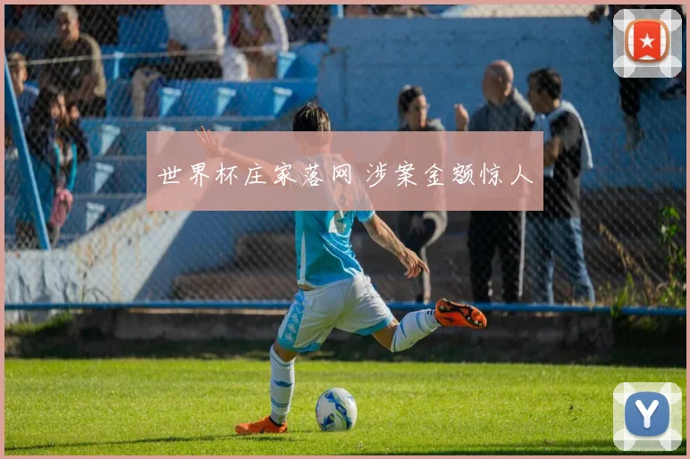 世界杯庄家落网 涉案金额惊人