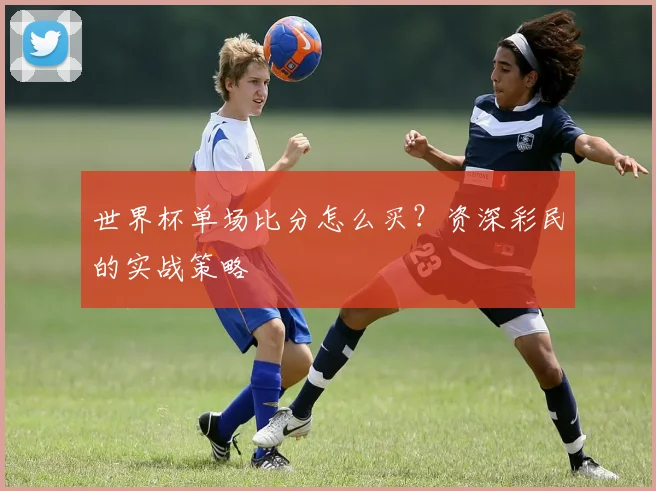 世界杯单场比分怎么买？资深彩民的实战策略