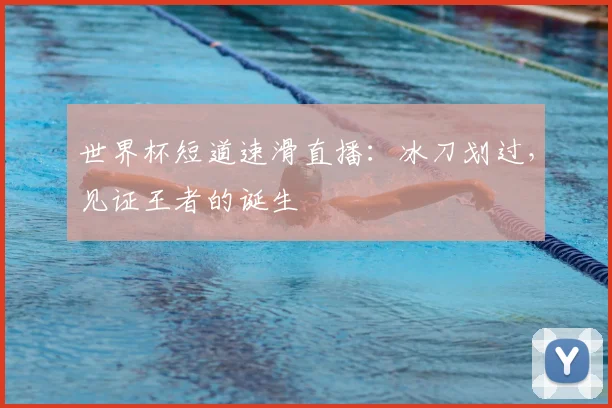 世界杯短道速滑直播：冰刀划过，见证王者的诞生