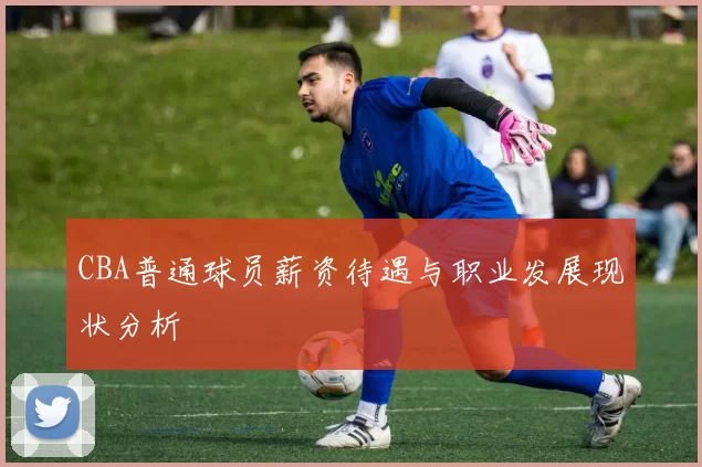 CBA普通球员薪资待遇与职业发展现状分析